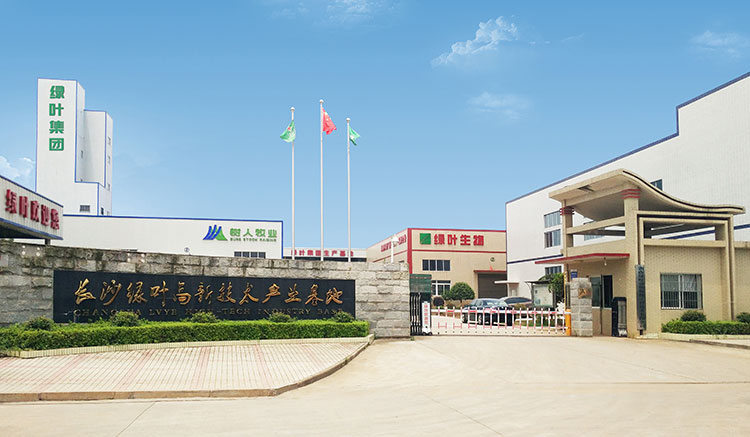 创业缘起