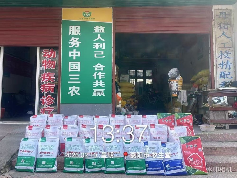 客户见证31