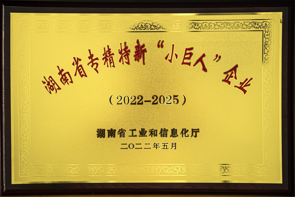 湖南省专精特新小巨人企业
